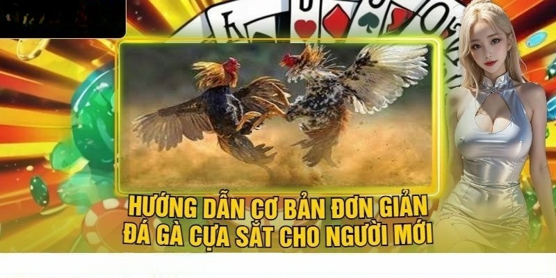 Luật chơi đá gà cựa sắt cho thành viên mới