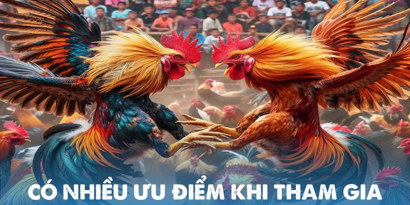 Có nhiều ưu điểm khi tham gia